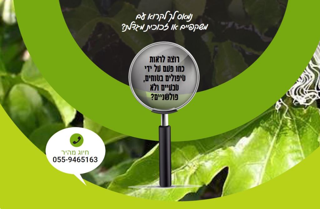 דר אפריים